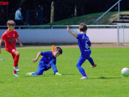 Hillen Cup 2024